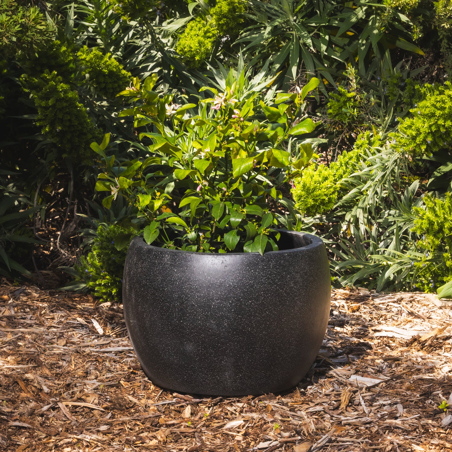 Precinct Lite Moon Pot