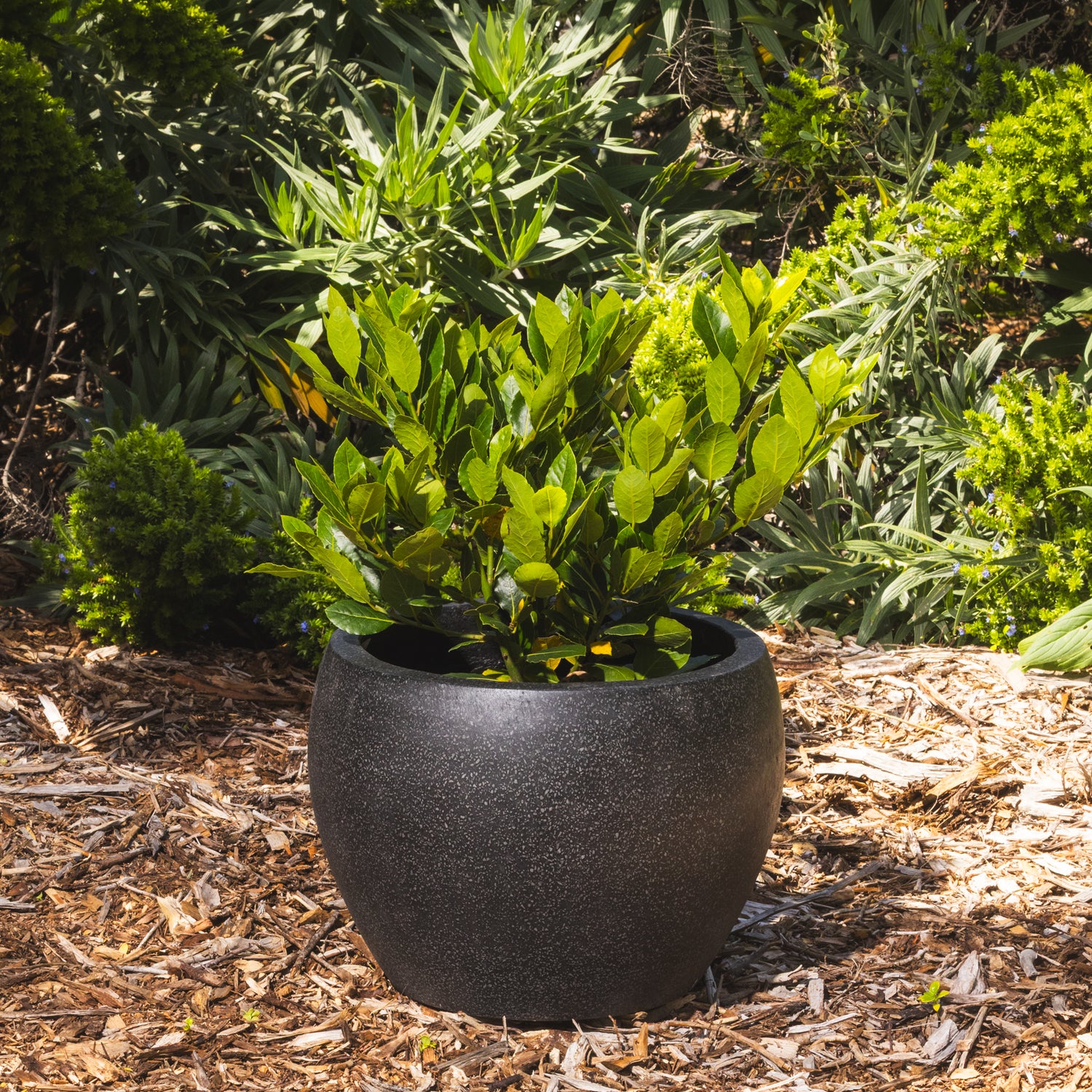 Precinct Lite Moon Pot