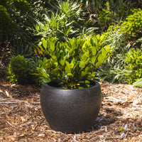 Precinct Lite Moon Pot