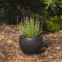 Precinct Lite Moon Pot