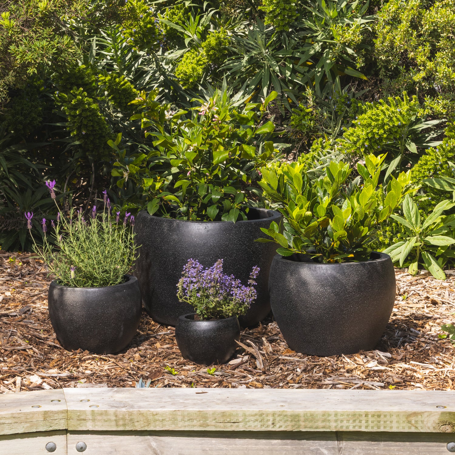 Precinct Lite Moon Pot