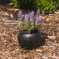 Precinct Lite Moon Pot