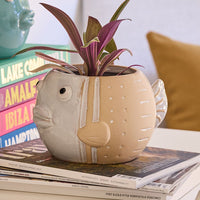 Fish Ornamental Pot