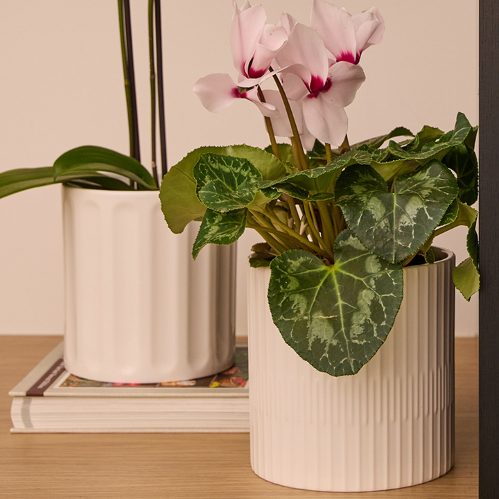 Axton Cylinder Pot