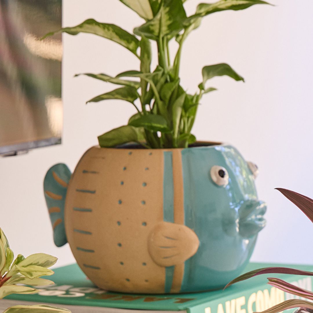 Fish Ornamental Pot