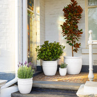 Studded Glazed Pot