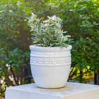Studded Glazed Pot
