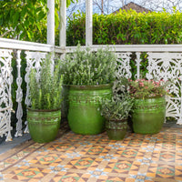 Studded Glazed Pot