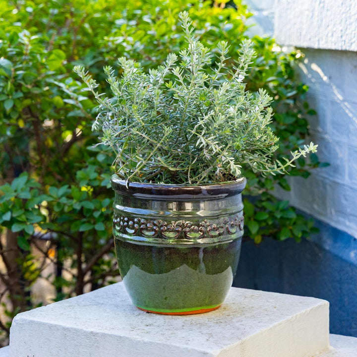 Studded Glazed Pot