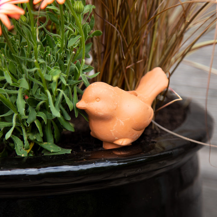 Terracotta Bird Self-Watering Garden Pot Reservoir Stake