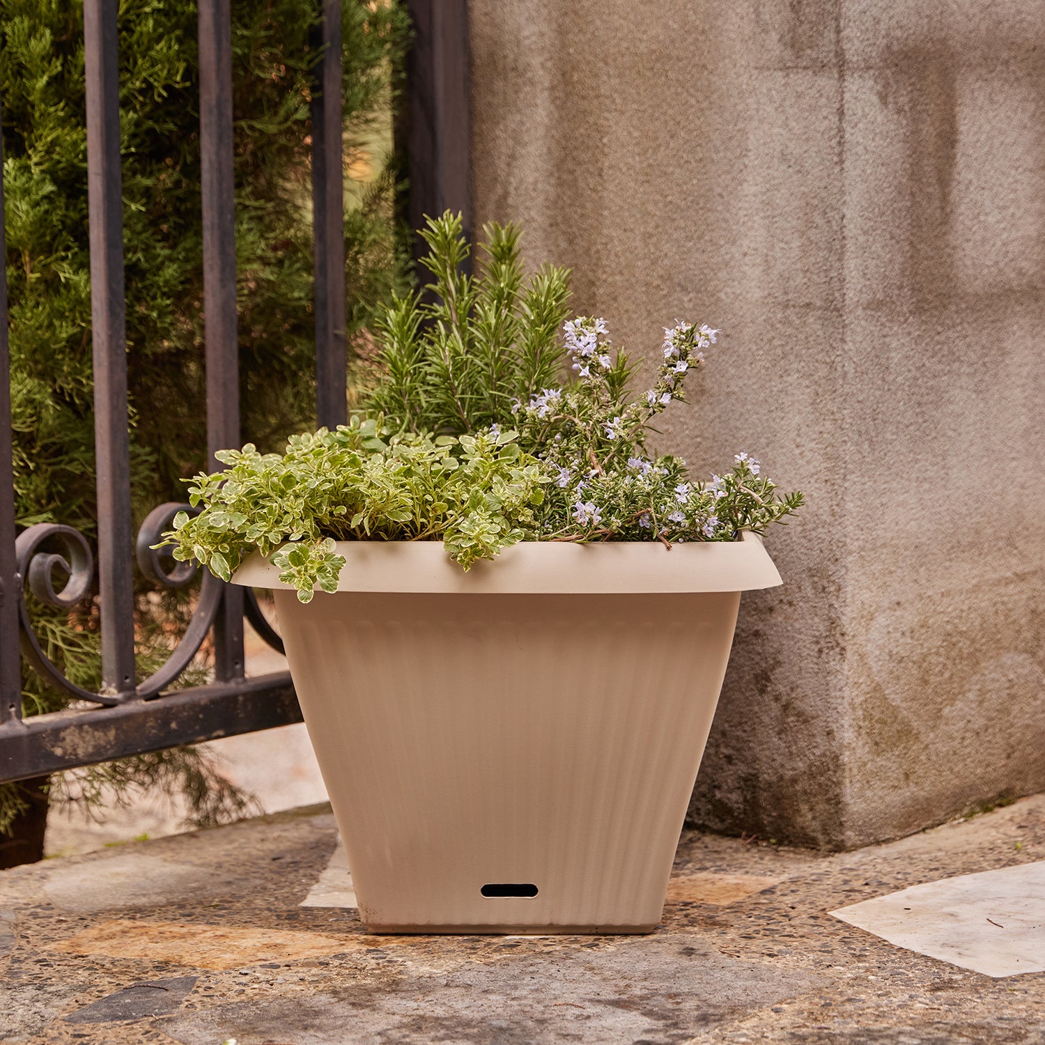 Ribbed Self-Watering Square Pot