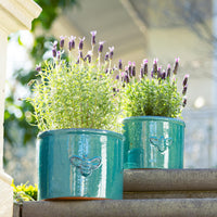Bee Glazed Planter
