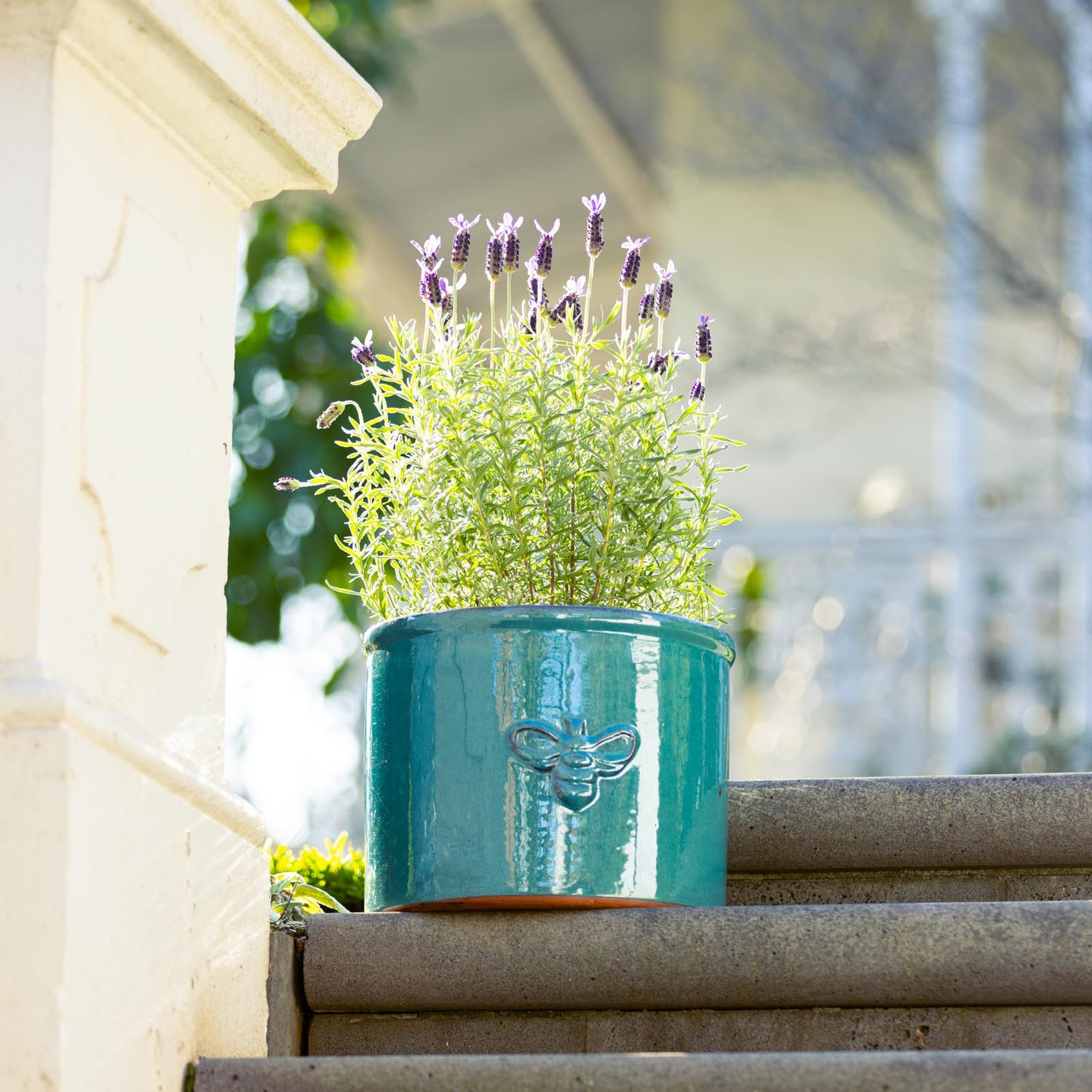 Bee Glazed Planter