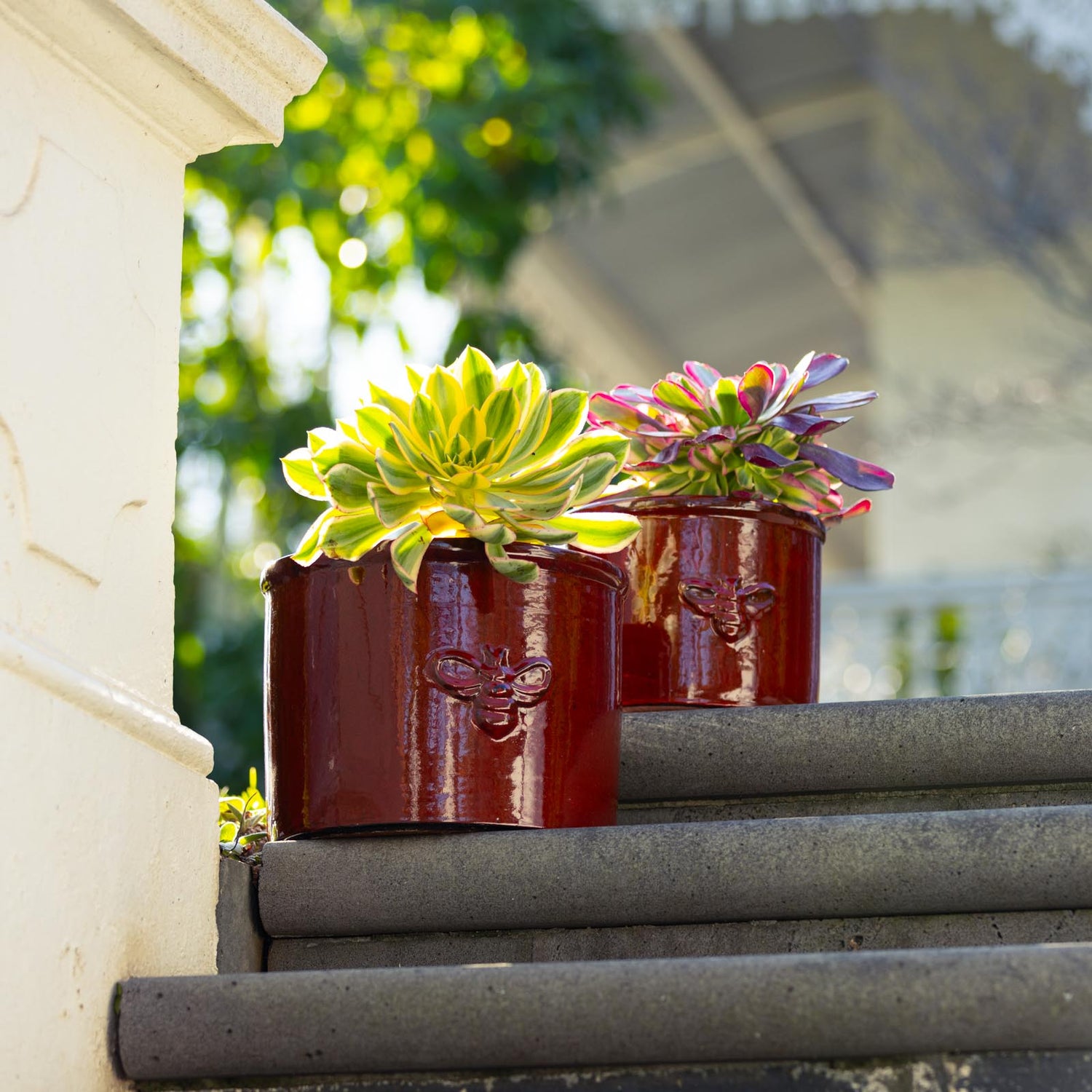 Bee Glazed Planter