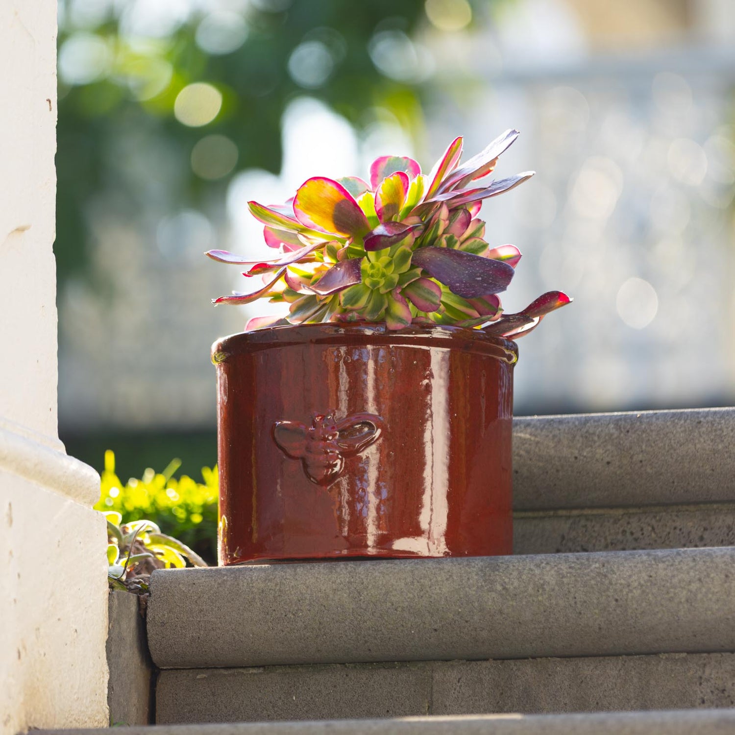 Bee Glazed Planter