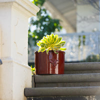 Bee Glazed Planter