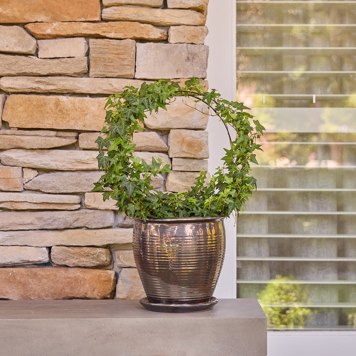 Holland Planter