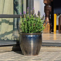 Holland Glazed Terracotta Planter