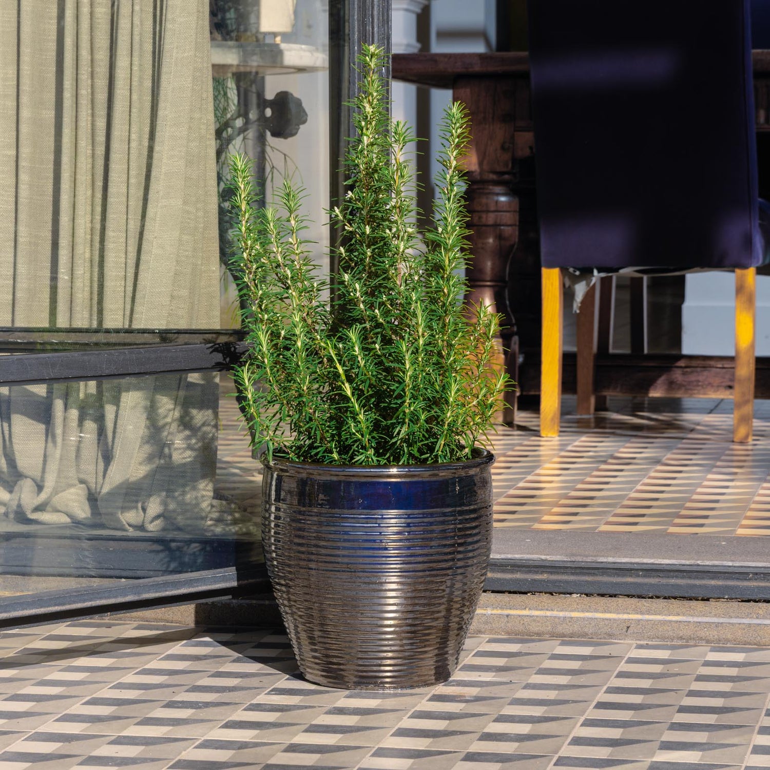 Holland Glazed Terracotta Planter