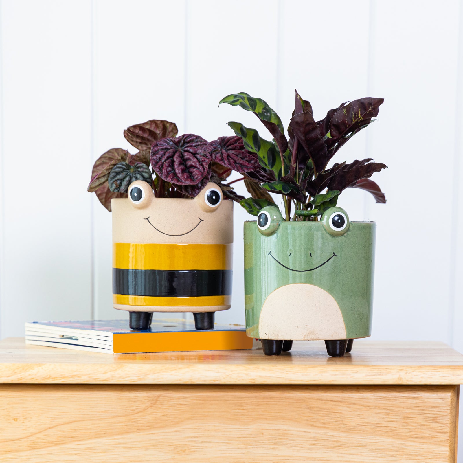 bee pot plant Bee Ornamental Animal Pot with Feet – Northcote Pottery