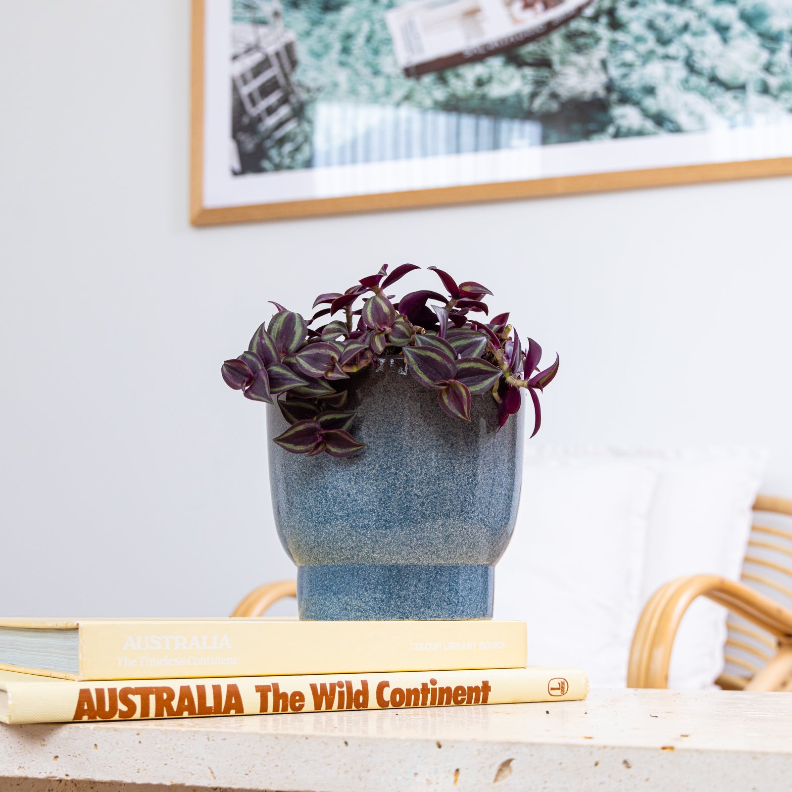 ombre planter pot Ombre Pedestal Pot – Northcote Pottery