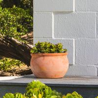 Figo Terracotta Bowl Planter