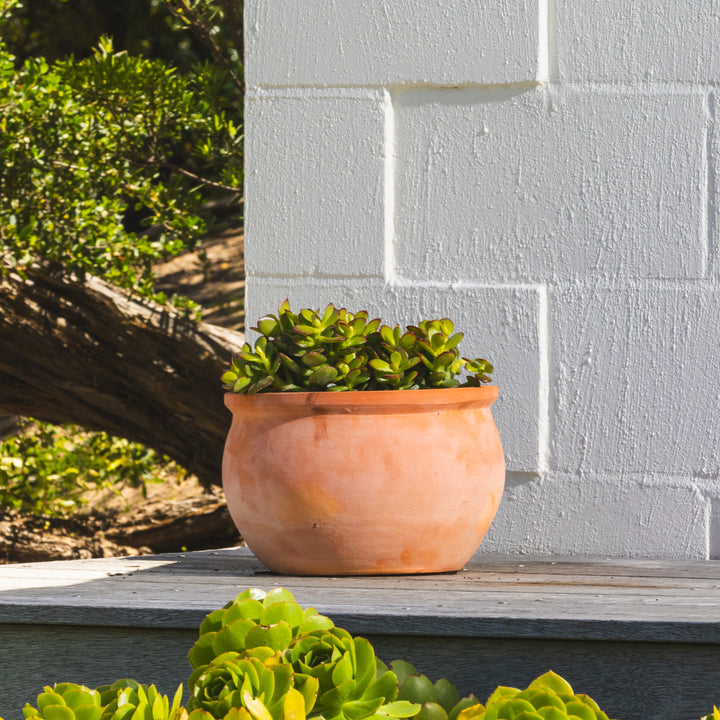 Figo Terracotta Bowl Planter