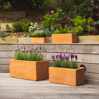 Figo Terracotta Trough Planter