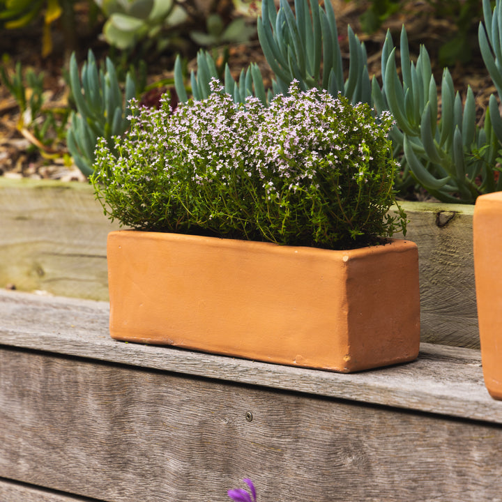 Figo Terracotta Trough Planter