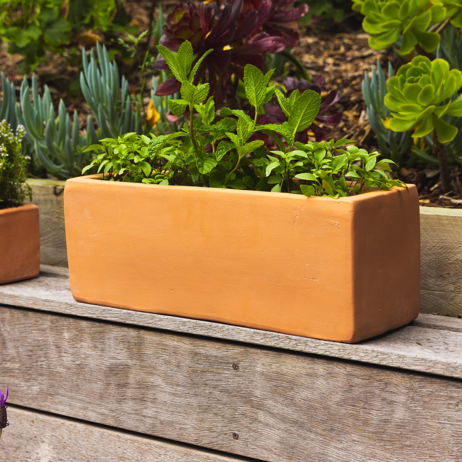Figo Terracotta Trough Planter