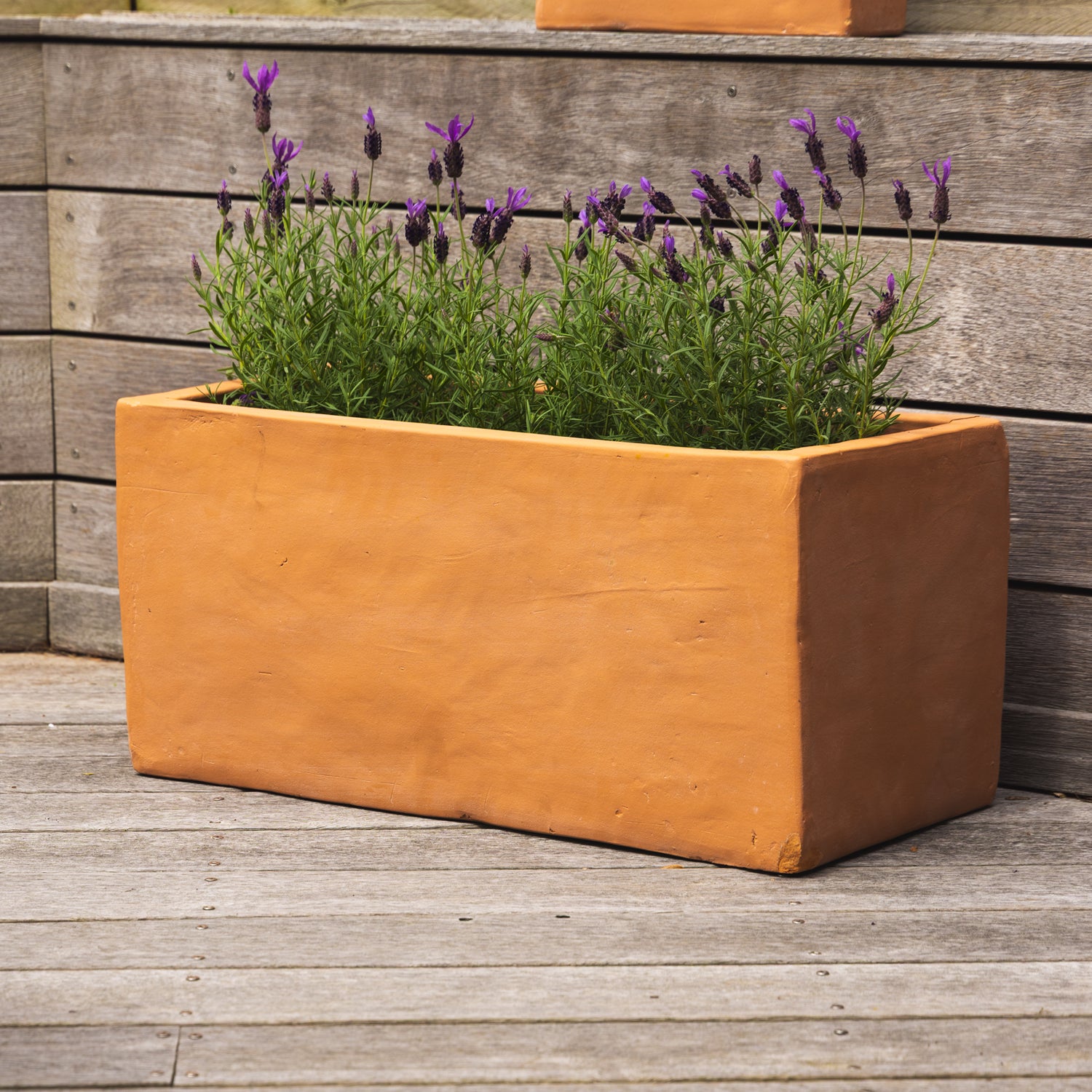 Figo Terracotta Trough Planter
