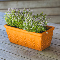 Rosa Terracotta Trough Planter