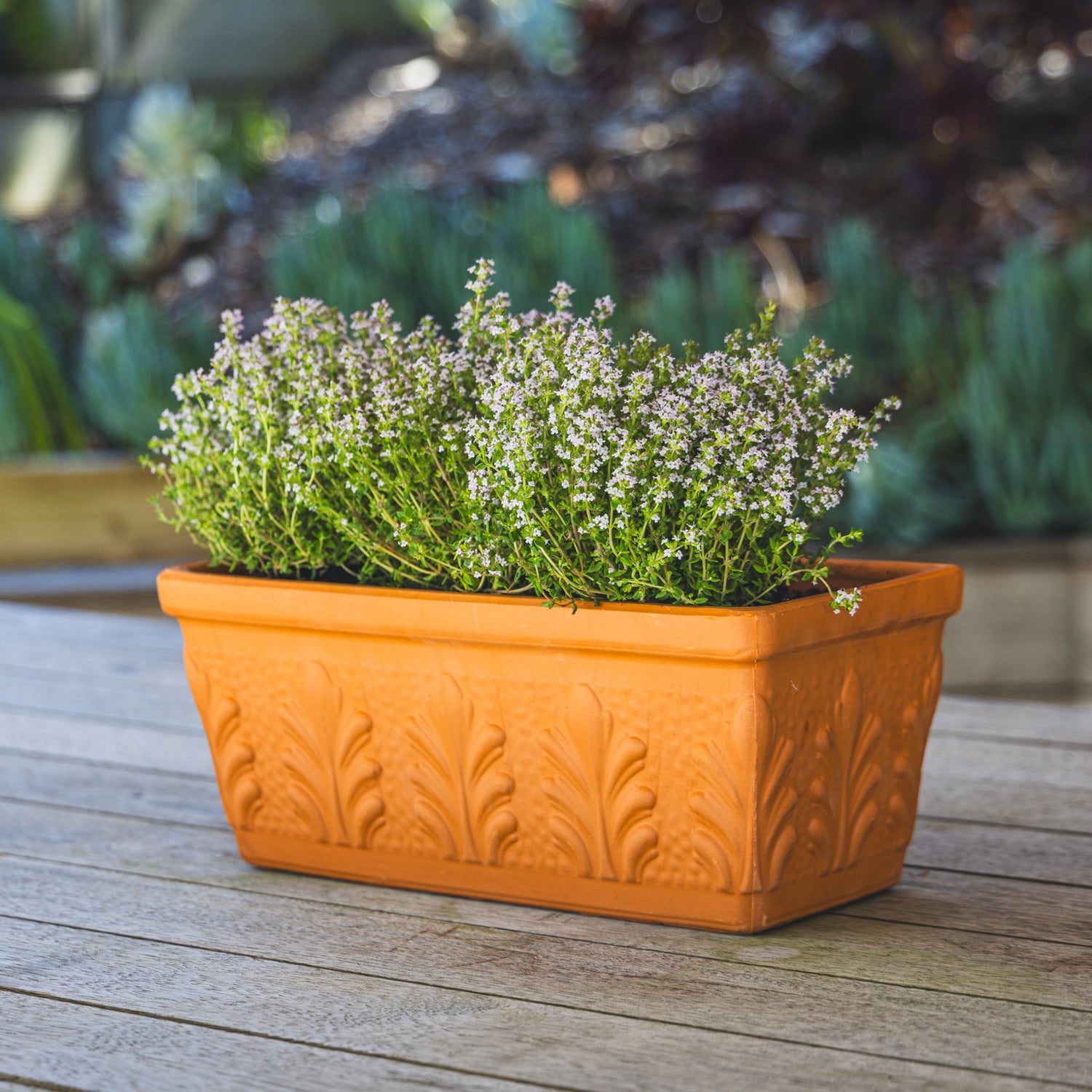 Rosa Terracotta Trough Planter