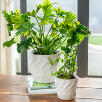 Kai Egg Pot
