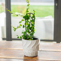Kai Egg Pot