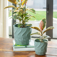 Kai Egg Pot