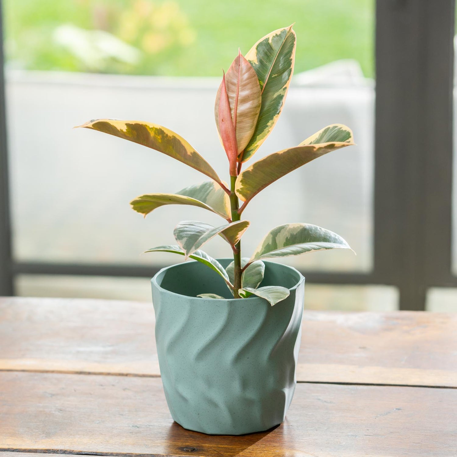 Kai Egg Pot