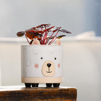 Bear Ornamental Pot