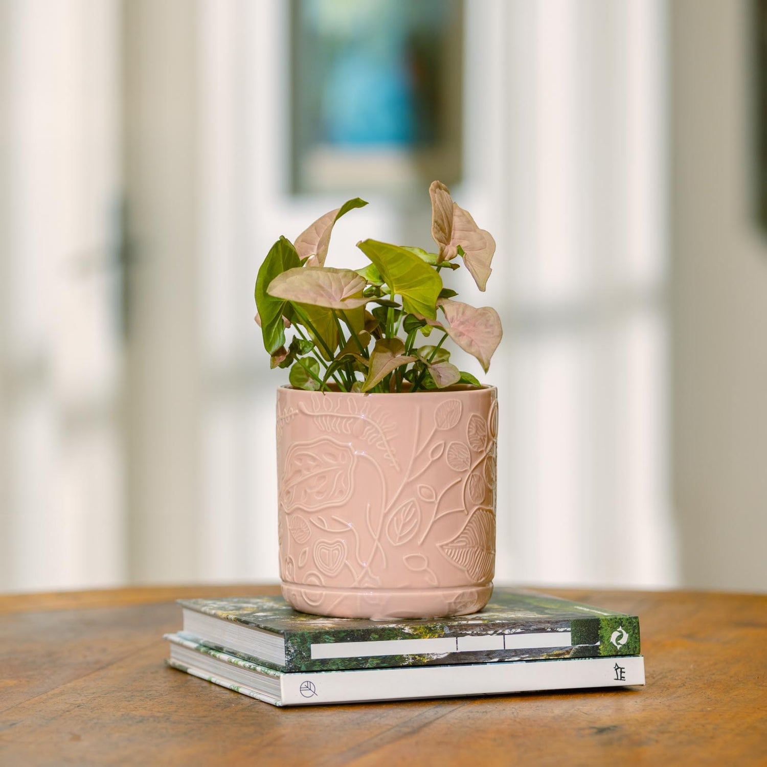 Bloom Cylinder Pot