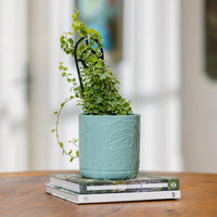 Bloom Cylinder Pot