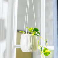 Luna Hanging Pot