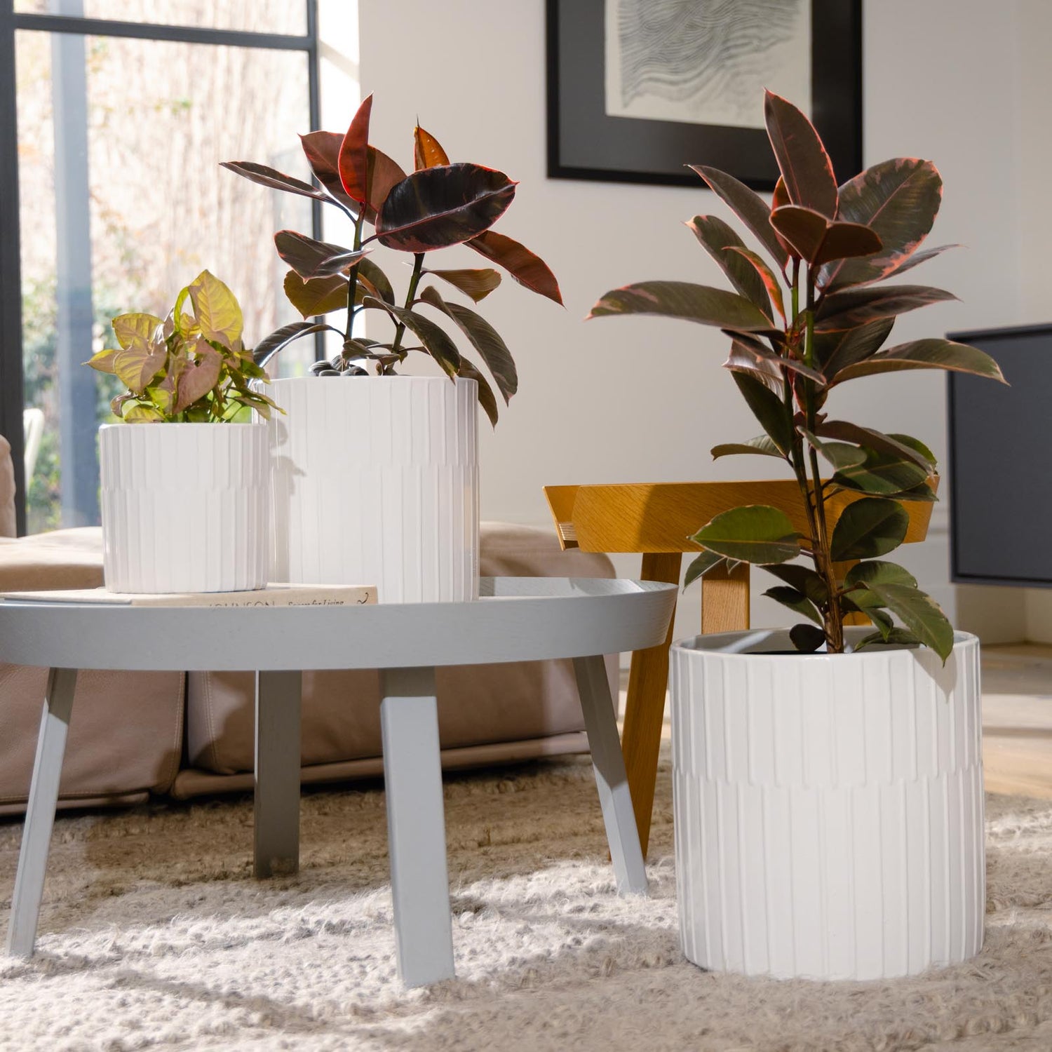 Bodhi Cylinder Pot