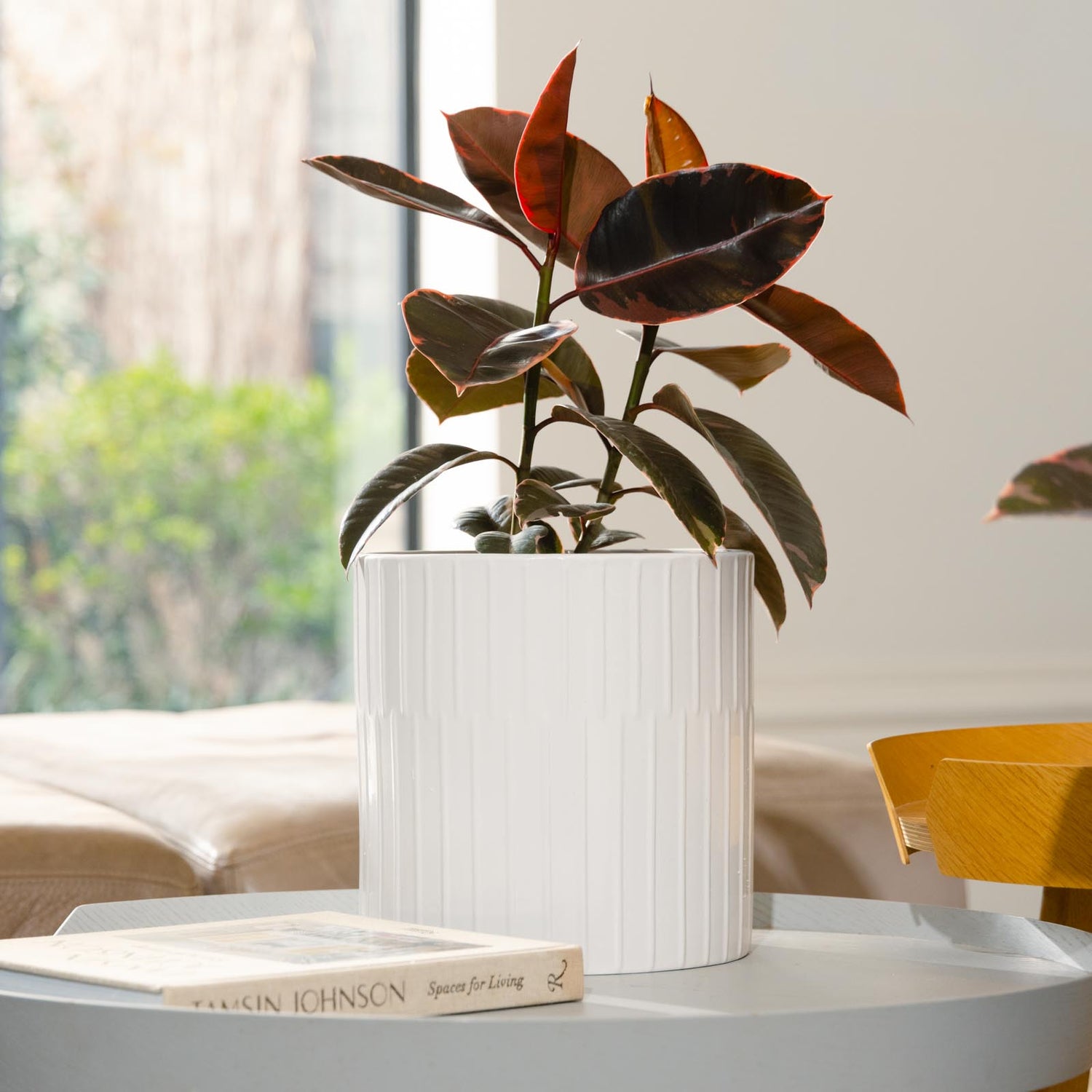 Bodhi Cylinder Pot