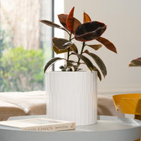 Bodhi Cylinder Pot