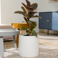 Bodhi Cylinder Pot