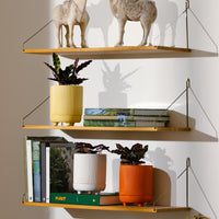 Alure Cylinder Pot
