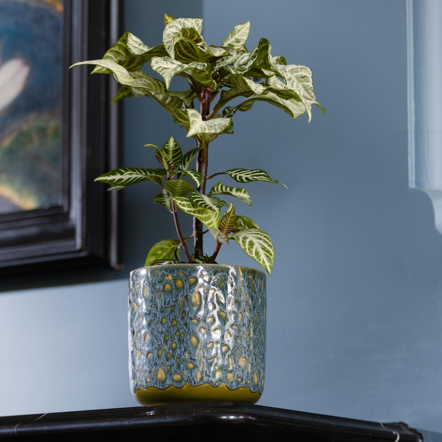 Aries Egg Pot