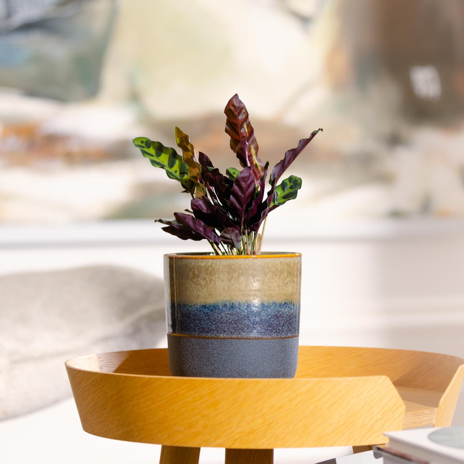 Luca Egg Pot