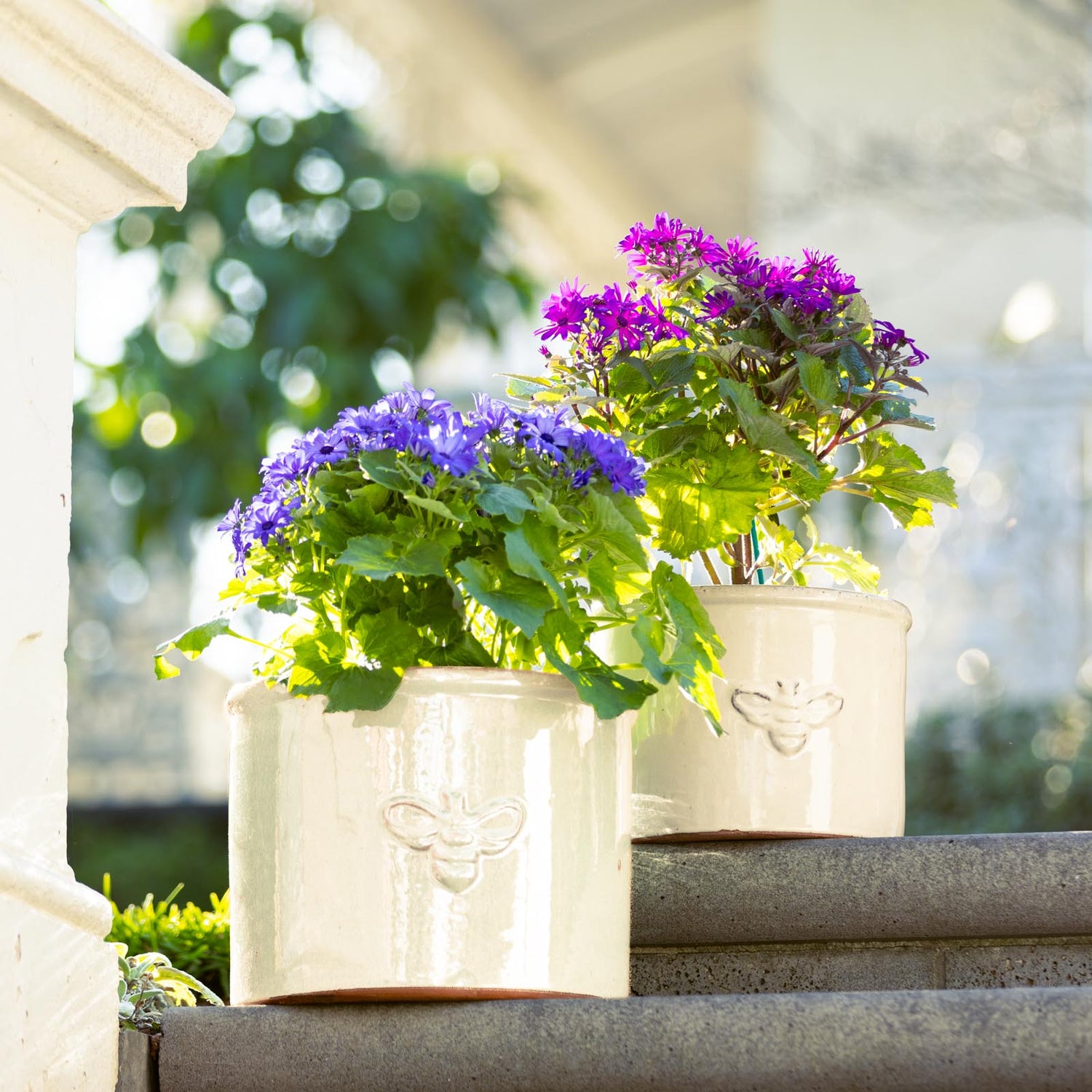 Bee Glazed Planter