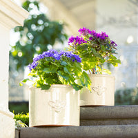 Bee Glazed Planter